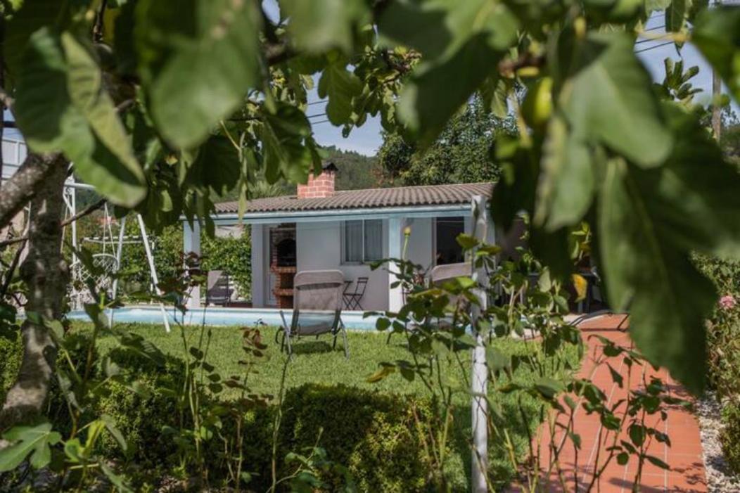 Vila Delfim E Carmo - Entire House Com Piscina São Pedro do Sul Exteriér fotografie